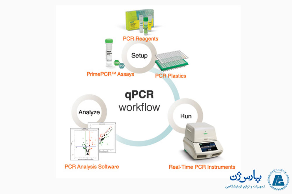 PCR در زمان واقعی چیست